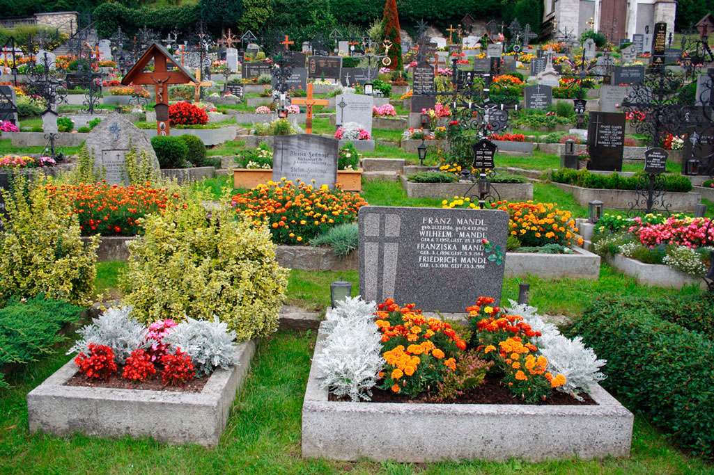 Какие цветы посадить на кладбище чтобы они цвели все лето
