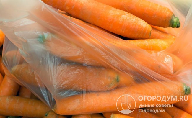 Хранение моркови в пакете